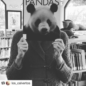 Image post by @stjohnscountylibrary on Instagram