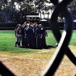 Image post by @hofstrasoftball on Instagram