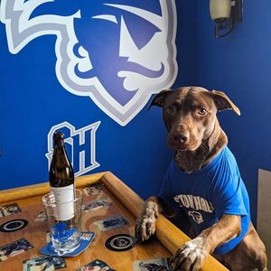 Image post by @setonhall on Instagram