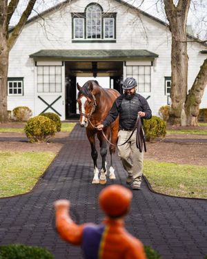 Image post by @spendthriftfarm on Instagram