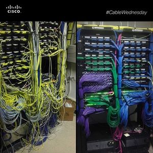 Image post by @cisco on Instagram
