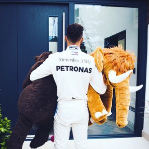 Image post by @lewishamilton on Instagram