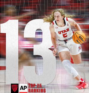Image post by @UTAHWBB on Twitter