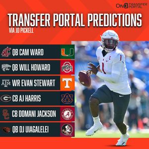 Image post by @transferportal on Instagram