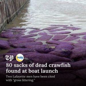Image post by @nolanews on Instagram
