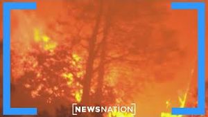 Video post by @newsnation on YouTube