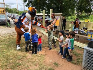 Image post by @swamprabbits on Instagram