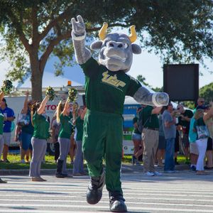Image post by @usfathletics on Instagram