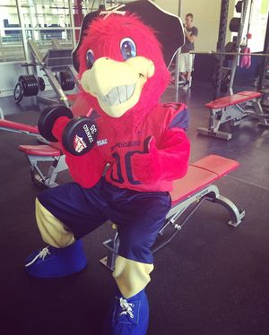 Image post by @shippensburgu on Instagram