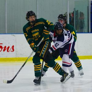 Image post by @usphlhockey on Instagram