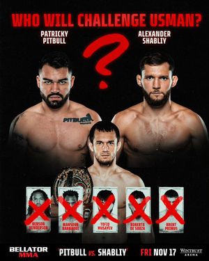 Image post by @bellatormma on Instagram