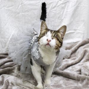 Image post by @spokhumanesoc on Instagram