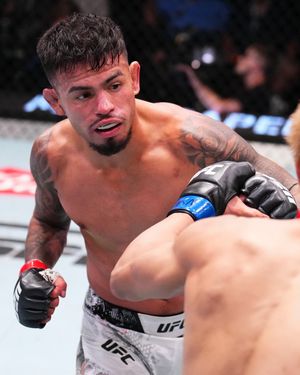 Image post by @ufc_brasil on Instagram