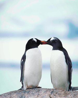 Image post by @discovery on Instagram