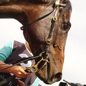 Image post by @australianturfclub on Instagram