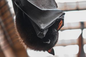 Image post by @nicolezaayerphotography on Instagram