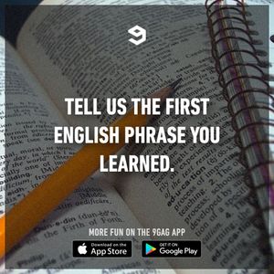 Image post by @9gag on Instagram