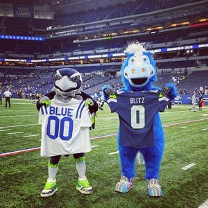 Image post by @blitztheseahawk on Instagram