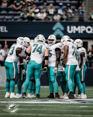 Image post by @dolphins_esp on Instagram