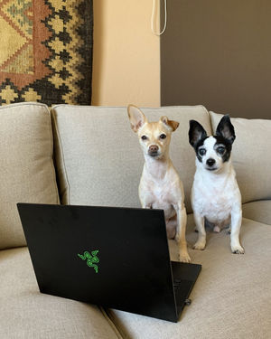 Image post by @razer on Instagram