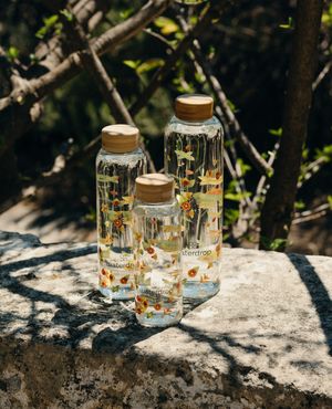 Image post by @waterdrop on Instagram