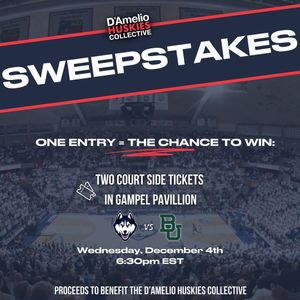 Image post by @dameliohuskies on Instagram