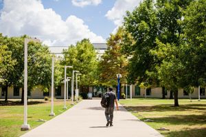 Image post by @collincollege on Instagram