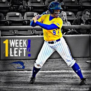 Image post by @hofstrasoftball on Instagram