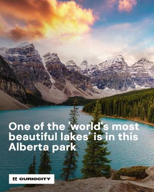 Image post by @curiocitycalgary on Instagram