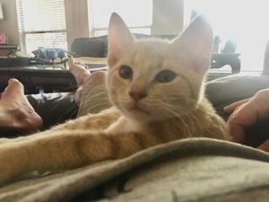 Image post by @sortitoutsa on Instagram