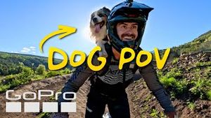 Video post by @gopro on YouTube