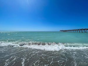 Image post by @visitsarasotacounty on Instagram