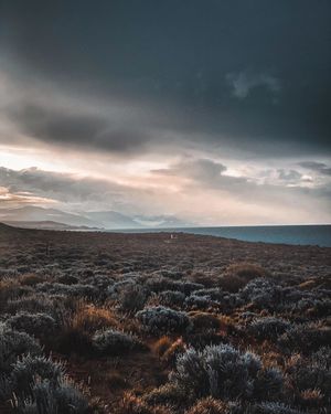 Image post by @moment on Instagram