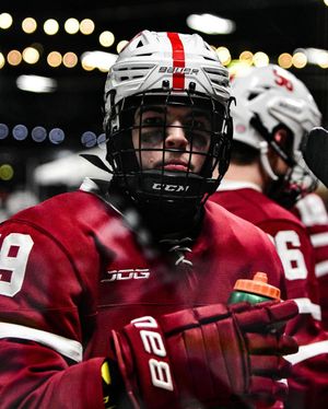 Image post by @hockeyhousepod on Instagram