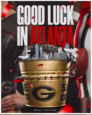 Image post by @ugagymnastics on Instagram