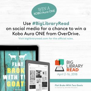 Image post by @stjohnscountylibrary on Instagram