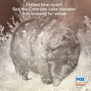 Image post by @foxweather on Instagram