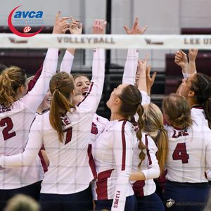 Image post by @leeuvolleyball on Instagram