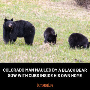 Image post by @outdoor_life on Instagram