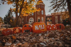 Image post by @nauflagstaff on Instagram