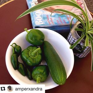 Image post by @stjohnscountylibrary on Instagram