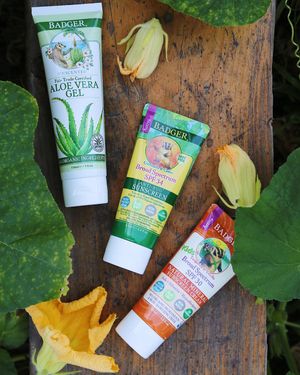 Image post by @nativesunjax on Instagram