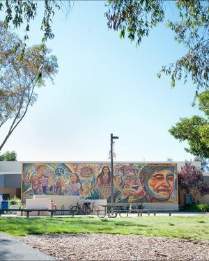 Image post by @ucsdadmissions on Instagram