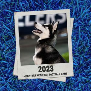 Image post by @pwstadium on Instagram