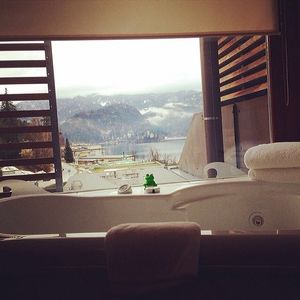 Image post by @bestwestern on Instagram