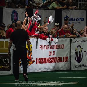 Image post by @jaxsharks on Instagram