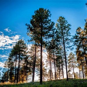 Image post by @nauflagstaff on Instagram