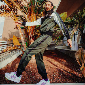 Image post by @steveaoki on Instagram