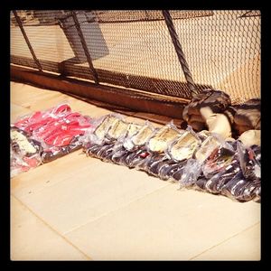 Image post by @eastonfastpitch on Instagram