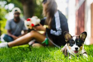 Image post by @northeastern on Instagram